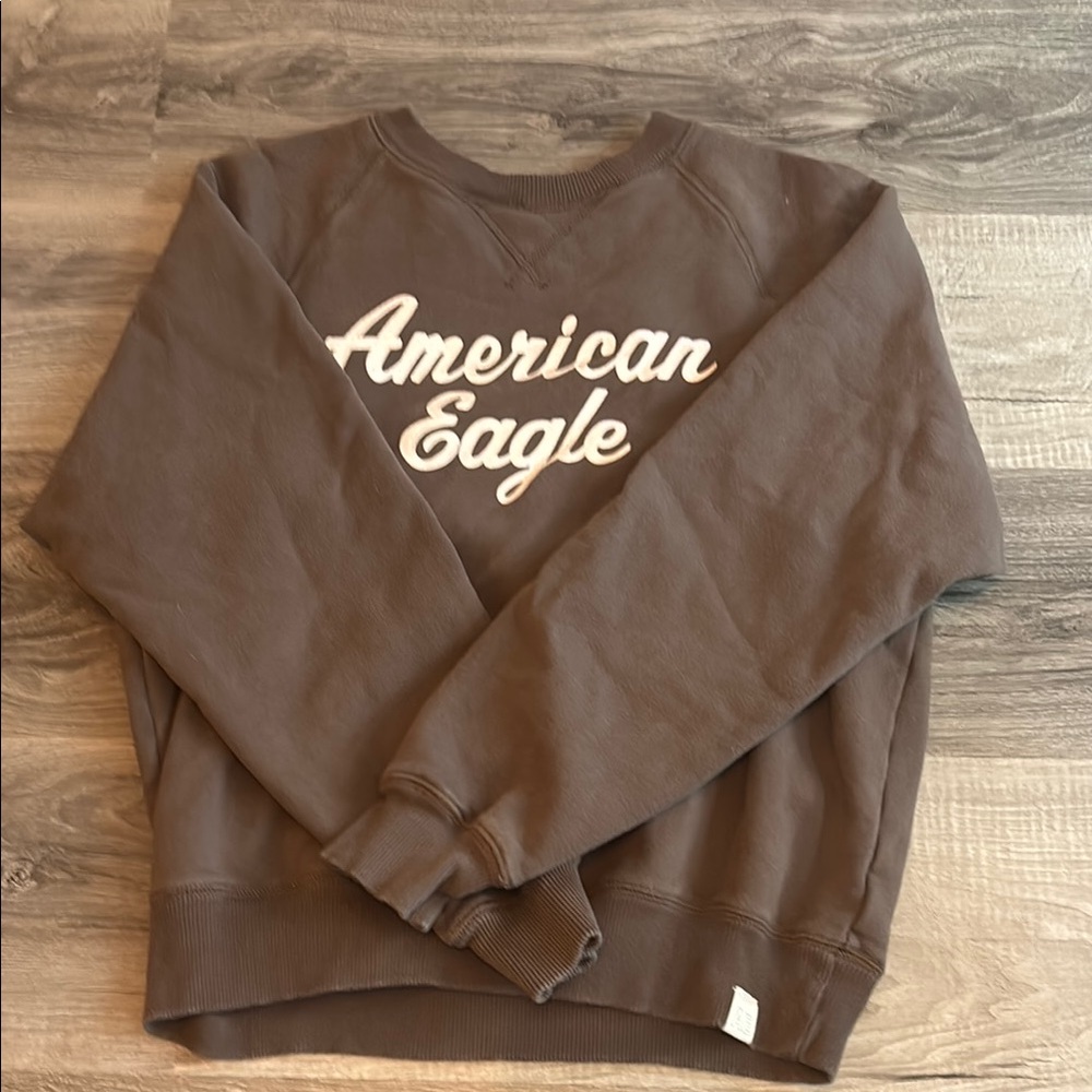 American Eagle Outfitters Brown Crewneck Sweater